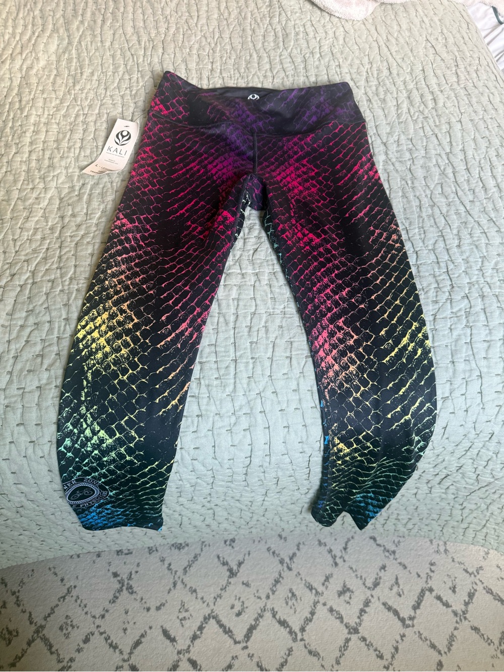 Kali Black Leggings with Rainbow Gradient Scale Print